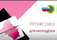 Видео сюжет №1